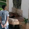guilherme.wx10