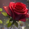 safiyowaange2