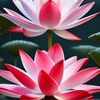 shuvo.ahmed.good