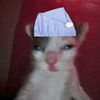 autism_dude😼💙🩷