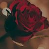 23lizbeth44