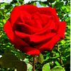 junayed.islam000