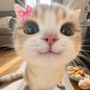 paola_8642