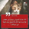 minocha_timozgha