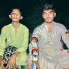 fazilsheikh784