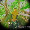 user6136921441510