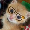 littlegirl1105