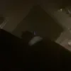 ninsskz