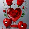rajibulislam8606