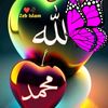 aqeeb.khawar
