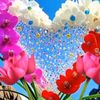 user8168188868409