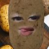 an_putr1