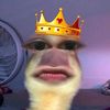 _pekiq