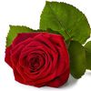sarth.sarath