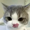 hieuu.hann