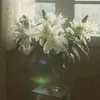 embiovk