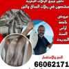 user6335735210617
