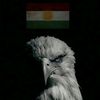 .kurd95