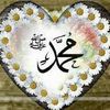 alshafa.abdelrahm