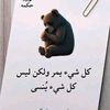 user2302137751013