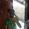 srvdrren