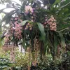 cuong.dinh50