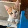 mmiray_yy