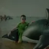 codaubuoikkk
