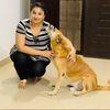 henablogforpaws