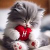 nana.emam55