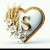 user8250663826367