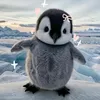 mafeeofi