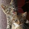 mirre.and.olily_boo
