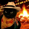 vida_de_leopoldo