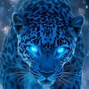 hazem.marse2