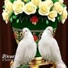 hoda_7go