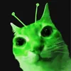 zelenkaxxl