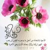 yasminhilal_44
