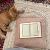 tabarkahmeddh