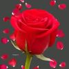 user9296810213849