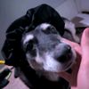 ilovebutters223