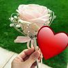firdausi737