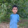 zainalirajpoot81