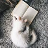 Uống sách đọc trà 🍃