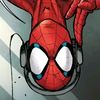 spider_fan332