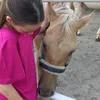 izkaa_horse