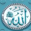 user858506553220