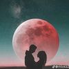 user084698381
