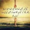 treeza.naveed