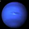 neptune_bunny